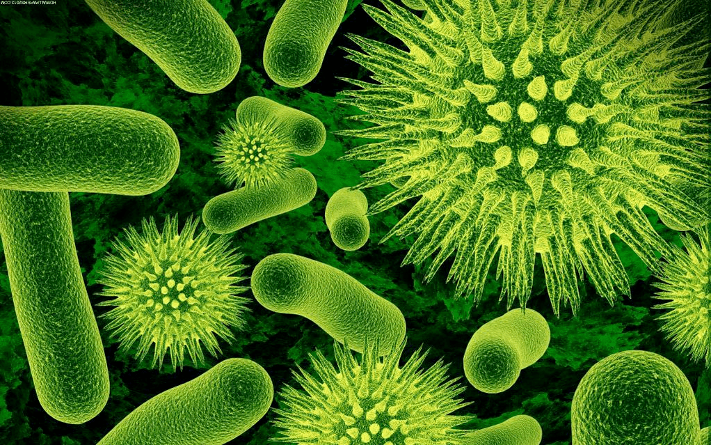 kako bakterije ulaze u tijelo