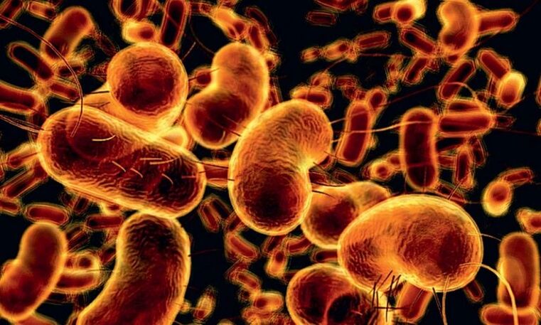 bakterije koje uzrokuju infektivni prostatitis